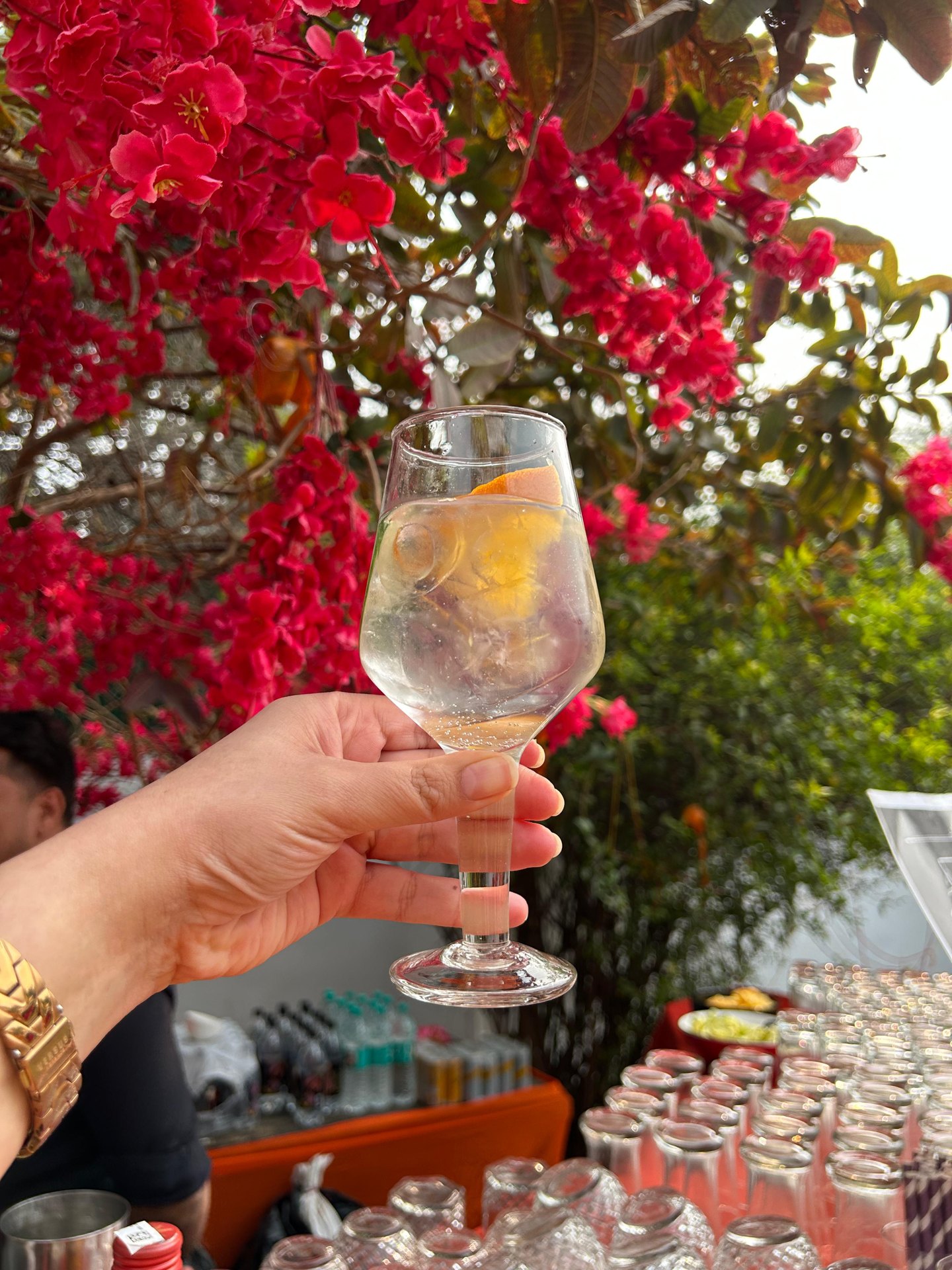 Cocktail at a garden bar